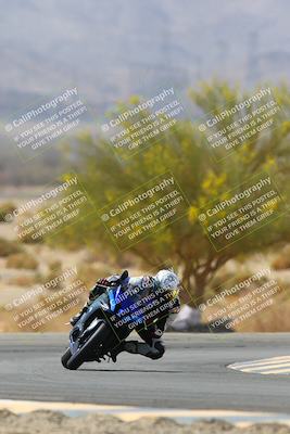 media/Apr-10-2022-SoCal Trackdays (Sun) [[f104b12566]]/Turn 5 Tree of Life (1040am)/